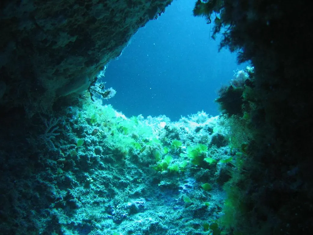 Villa Stazzo Dell'Antica Trebbia Santa Teresa Gallura